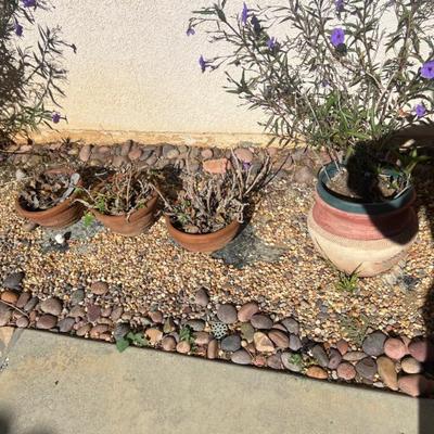 Sale Photo Thumbnail #131