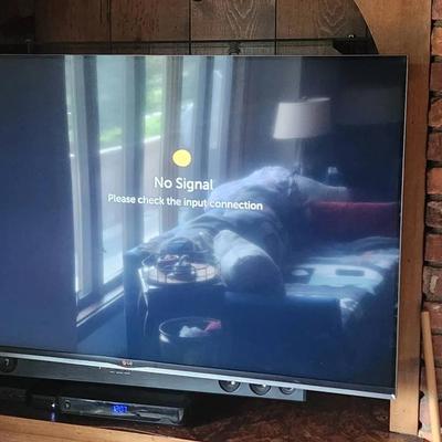 LG 55" Smart TV
