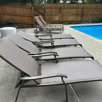 Pool Side Loungers 