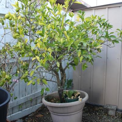 Sale Photo Thumbnail #436