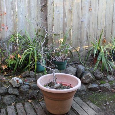 Sale Photo Thumbnail #421