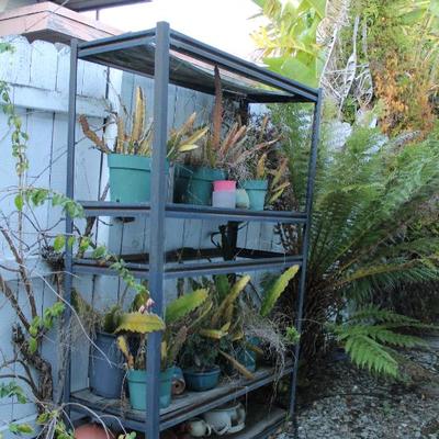 Sale Photo Thumbnail #437