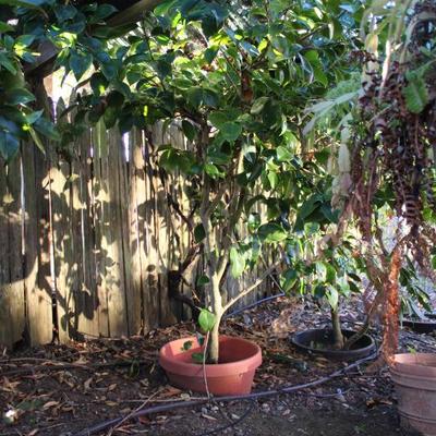 Sale Photo Thumbnail #424