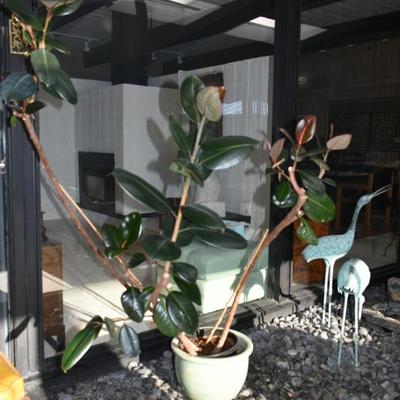 Sale Photo Thumbnail #449