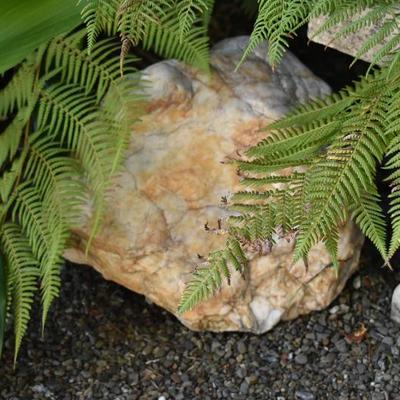 Sale Photo Thumbnail #448