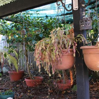 Sale Photo Thumbnail #414