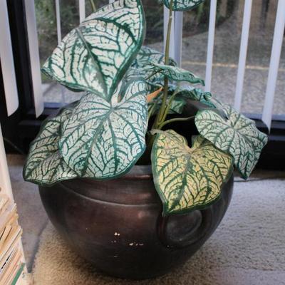 Sale Photo Thumbnail #406