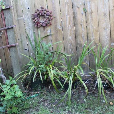 Sale Photo Thumbnail #431