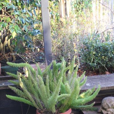 Sale Photo Thumbnail #412