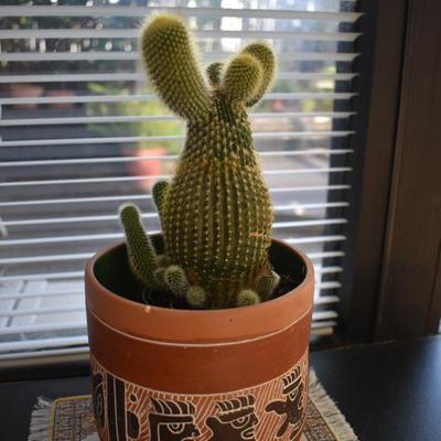 Sale Photo Thumbnail #248