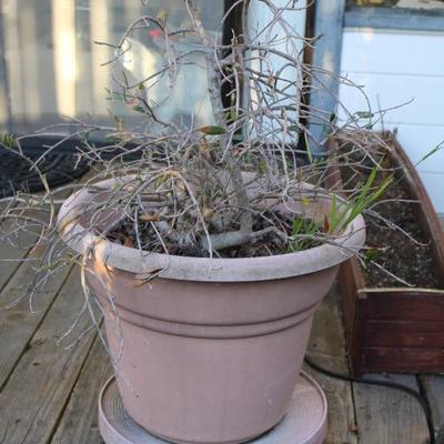 Sale Photo Thumbnail #410