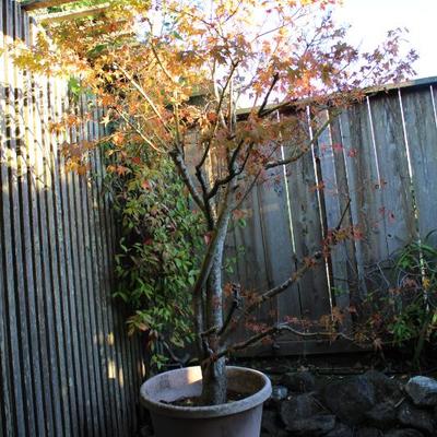 Sale Photo Thumbnail #418