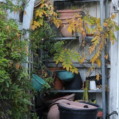 Sale Photo Thumbnail #439