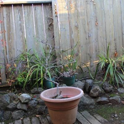 Sale Photo Thumbnail #419