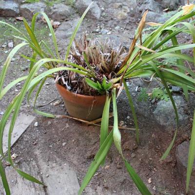 Sale Photo Thumbnail #425