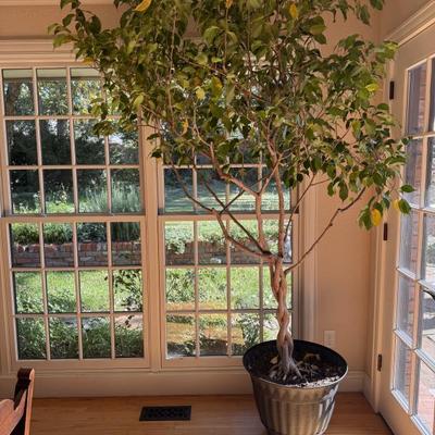 Sale Photo Thumbnail #47