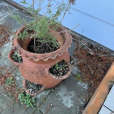 Sale Photo Thumbnail #23