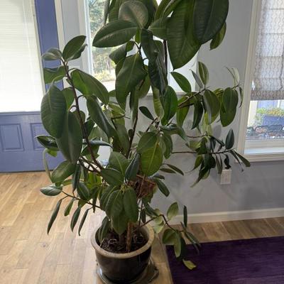 Sale Photo Thumbnail #121