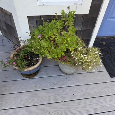 Sale Photo Thumbnail #90