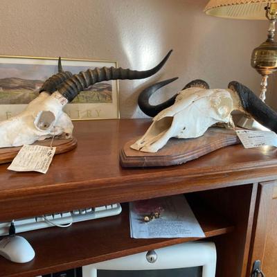 Sale Photo Thumbnail #8