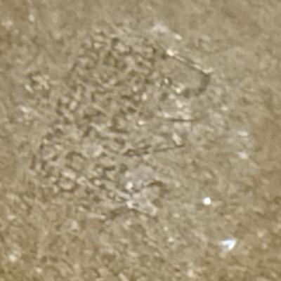 Sale Photo Thumbnail #174