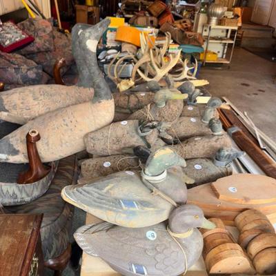 Great selection of Decoys, Oscar Quam goose Decoys. Mason . wood duck decoy's herters others 