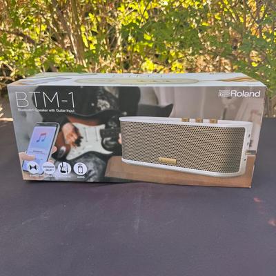 Roland BTM-1 Bluetooth Speaker New