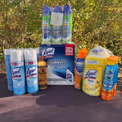 Cleaning Bundle Lot