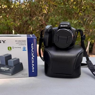 Sony Cyber-shot DSC-HX100V 16.2MP Digital Camera 