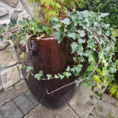 Sale Photo Thumbnail #33