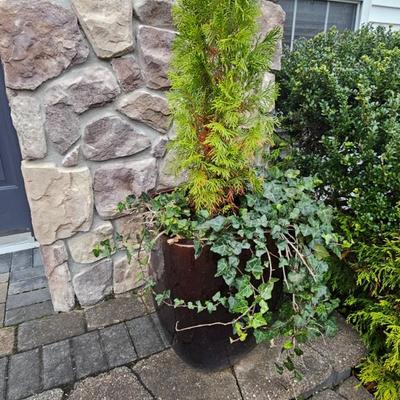 Sale Photo Thumbnail #31