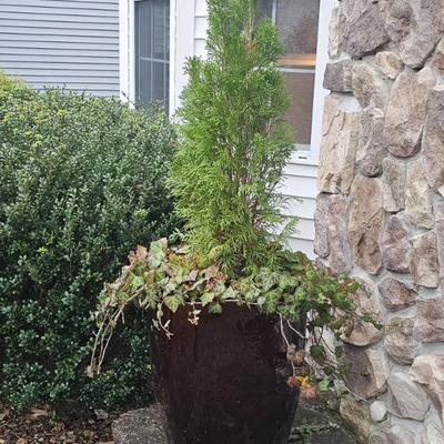 Sale Photo Thumbnail #34