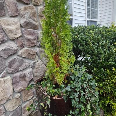 Sale Photo Thumbnail #32