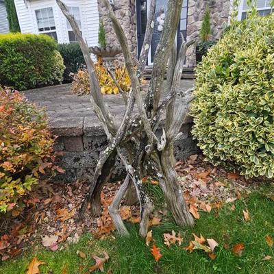 Sale Photo Thumbnail #25