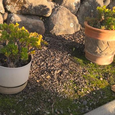 Sale Photo Thumbnail #88