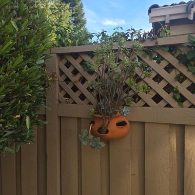 Sale Photo Thumbnail #70