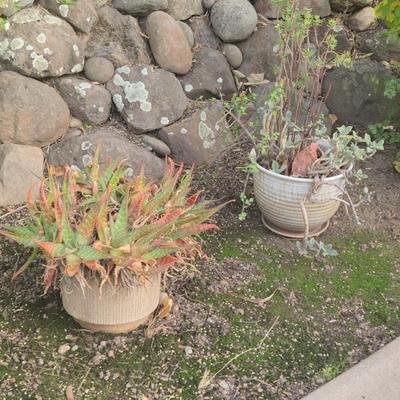 Sale Photo Thumbnail #89