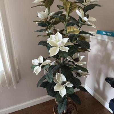 Sale Photo Thumbnail #61