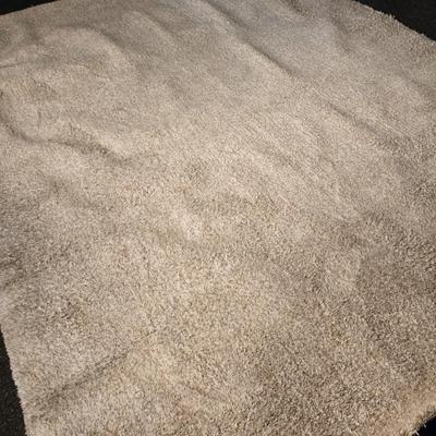 7.5 x 9.5 Shag rug (Rolled up in Garage)