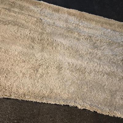5 x 8 Shag rug (rolled in Garage
