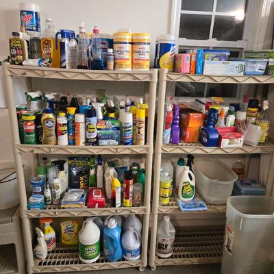 Cleaning Products and Garage Chemicals