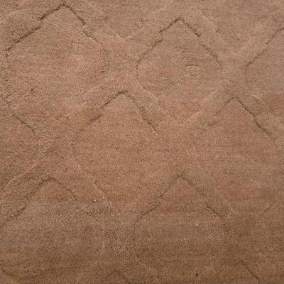 Close up of Living Room Rug - Very Nice