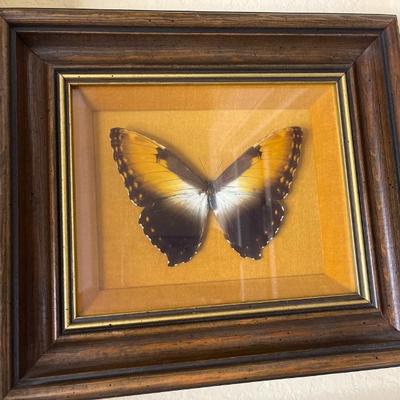 Sale Photo Thumbnail #913