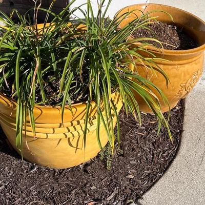 Sale Photo Thumbnail #973