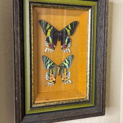 Sale Photo Thumbnail #912