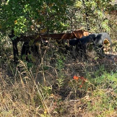 Sale Photo Thumbnail #113