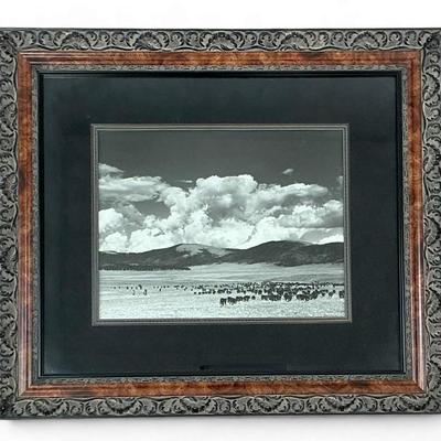 Sale Photo Thumbnail #137