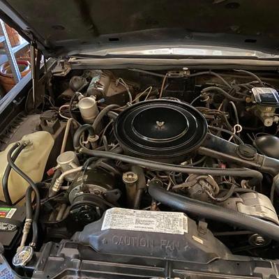 Sale Photo Thumbnail #6