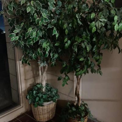 Sale Photo Thumbnail #197