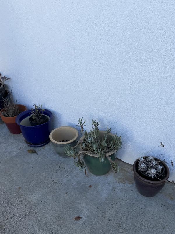 Sale Photo Thumbnail #102